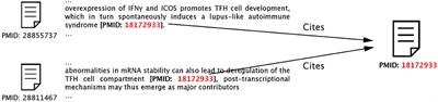 Temporal Representations of Citations for Understanding the Changing Roles of Scientific Publications